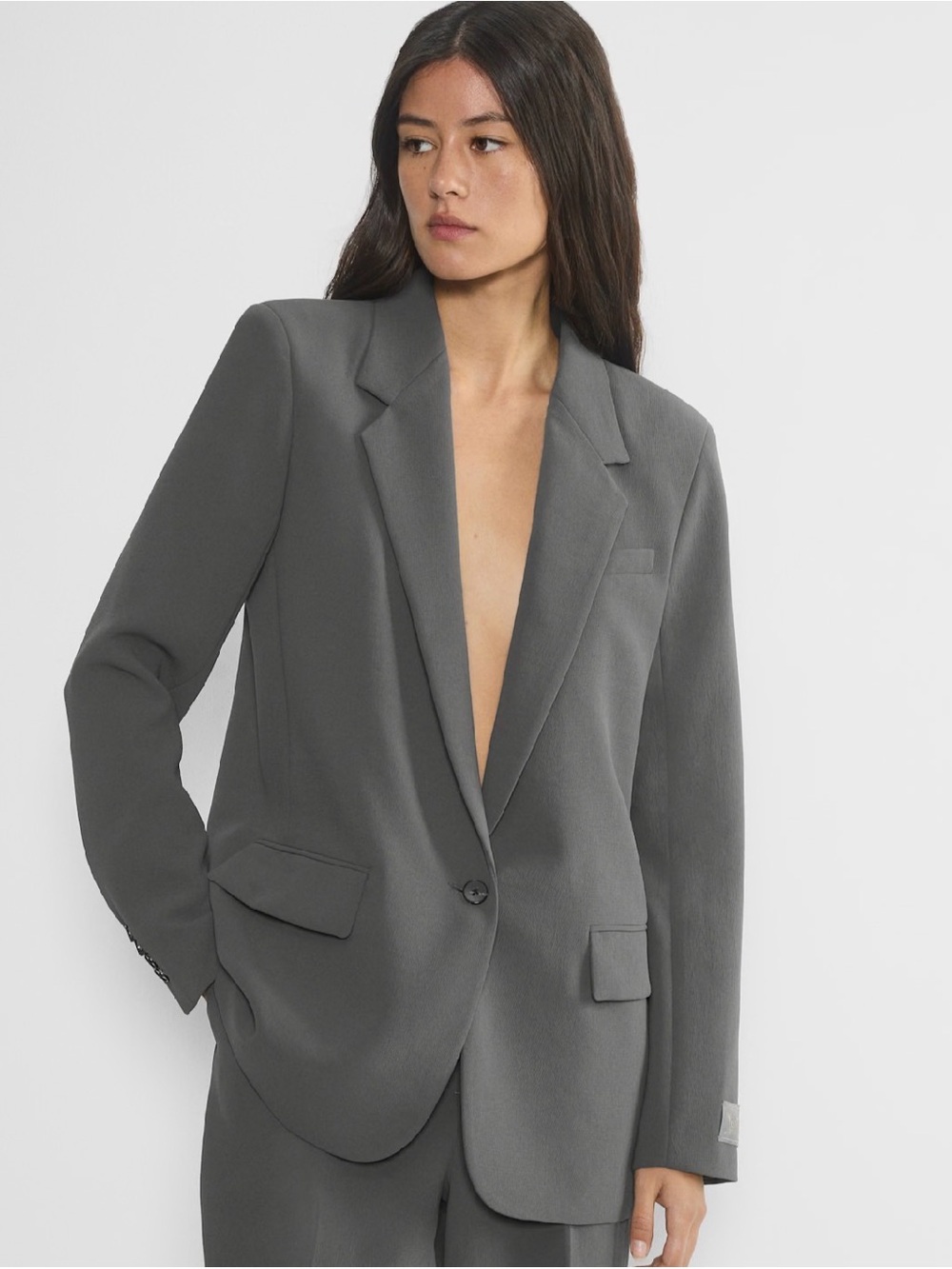 Aritzia Wilfred New Generation Blazer